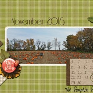 November 2015....The Pumpkin Patch