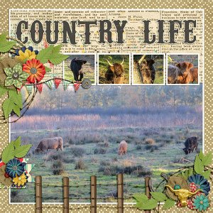 Country Life