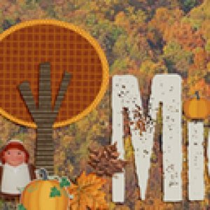 November siggie