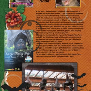 Bats in the Hood