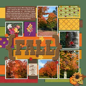 Bear Creek Park Oct 2015 Right