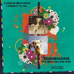 Bushwacker