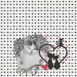 Crazy for Cats - Boomersgirl Designs