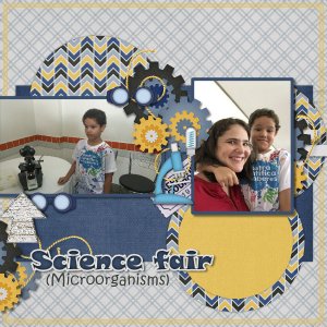 Science Fair
