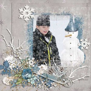 Snowy Day