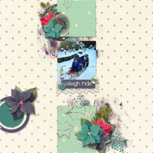 Sleigh Ride