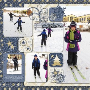 Cross Country Skiing