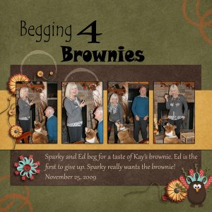 Begging for Brownies