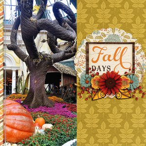 fall days