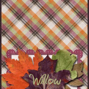 Thanksgiving place card