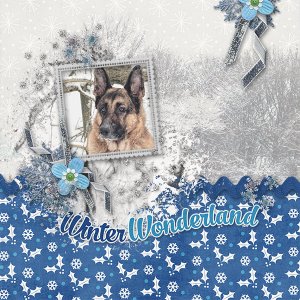 WinterWonderlandBoy