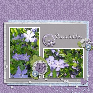 Periwinkles
