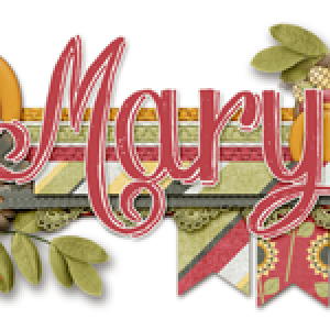 November siggy