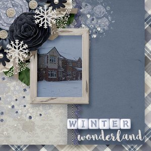 BD-WinterWonderland