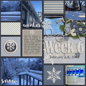 Week 6 2015