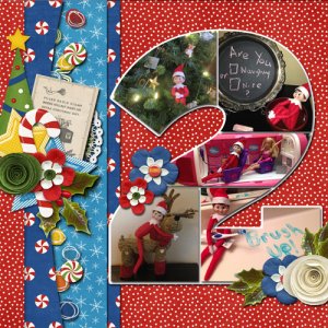 Project 2015 December