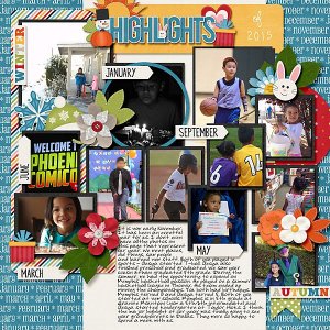 Highlights of 2015