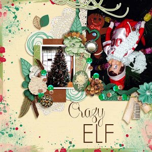 Crazy Elf