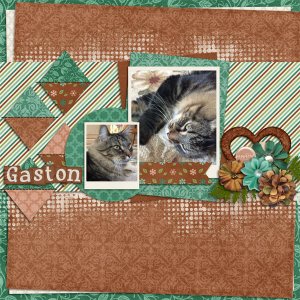 Gaston