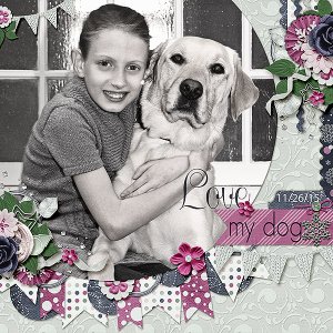 Love My Dog