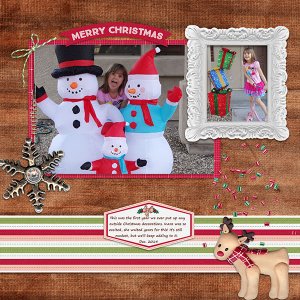 Christmas Decorations