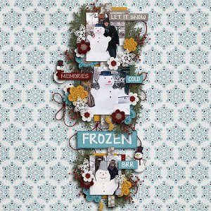 Frosted memories
