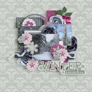 BD-WinterWonderland1