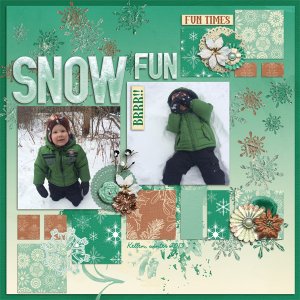 Snow Fun