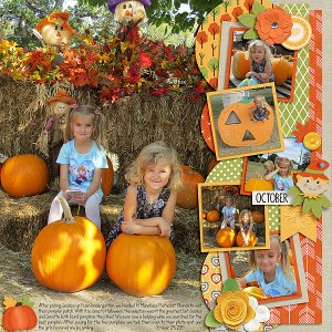 2015 Pumpkin Patch