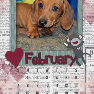 2016 February