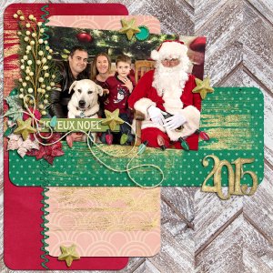 Sensitive santa 2015