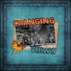 Changing Views