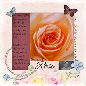 The Last Rose