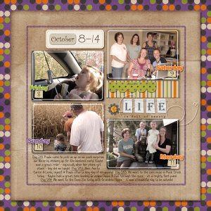 Project 365: October 8-14a