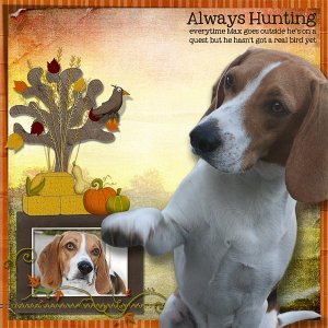 Always Hunting