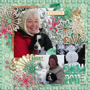Snow 2011