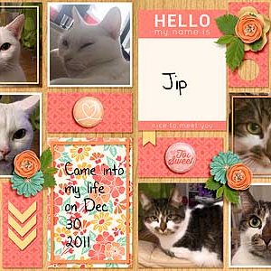 My Furbabies