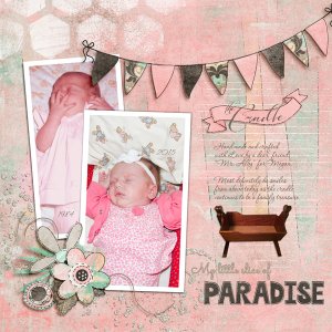 The Cradle