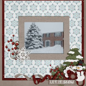 Snow15