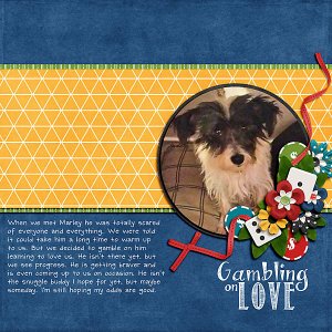 Gambling On Love