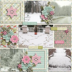 Season of sparkle