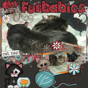 My Furrbabies