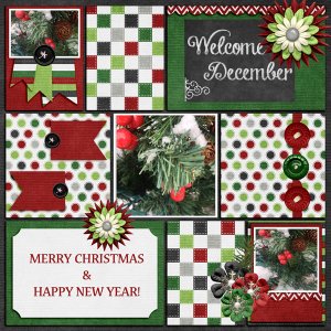 WELCOME DECEMBER