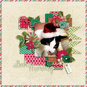 bah humbug