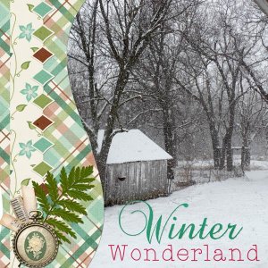 Winter Wonderland