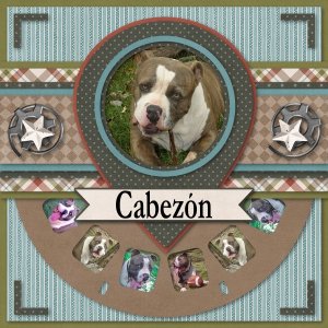 Cabezon