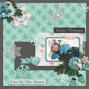 Winter Memories