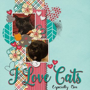 i-love-cats-esp-mine