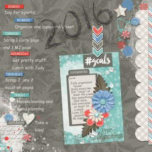 2016 goals