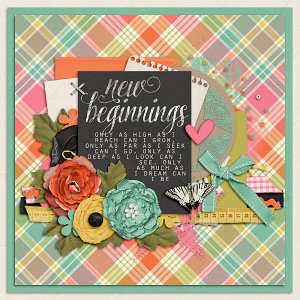 New Beginnings